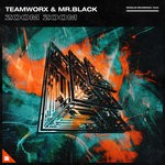 cover: Teamworx & Mr.black - Zoom Zoom