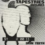 cover: Skin Teeth - Tapestries