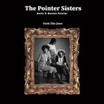 cover: The Pointer Sisters - Feels Like June