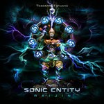 cover: Sonic Entity - Raijin