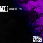 cover: Dj Domingo - 2000