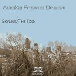 cover: Awake From A Dream - Skyline/The Fog