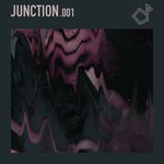 cover: COOL TIGER|DOMINIK FRY|M&C|Skipio - Junction 001