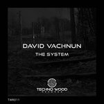 cover: David Vachnun - The System