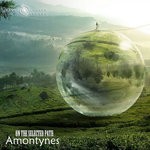 cover: Amontynes - On The Selected Path