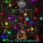 cover: Various - True Hallucination