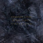 cover: Cober Ord|Common Eider|King Eider - Palimpseste