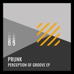 cover: Prunk - Perception Of Groove