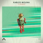 cover: Karlos Molina - Tu Regreso