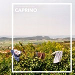 cover: A Story For Reflection - Caprino