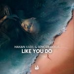 cover: Sencer Akkus|Hakan Kabil - Like You Do