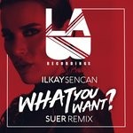 cover: Suer|Ilkay Sencan - What You Want (