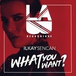 cover: Ilkay Sencan - What You Want