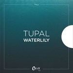 cover: Tupal - Waterlily