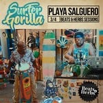 cover: Surfer Gorilla - Playa Salguero