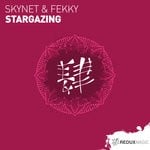 cover: Skynet & Fekky - Stargazing