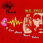 cover: Mr. Vice - I Can Hear Your Voice