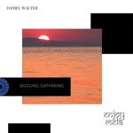 cover: Daniel Walter - Dizzling Gathering