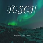 cover: Tosch - Noise In The Dark