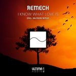 cover: Remech - I Know What Love Is