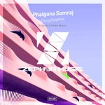 cover: Phalguna Somraj - Flying Dolphins