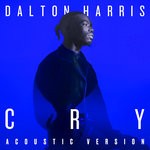 cover: Dalton Harris - Cry (Acoustic Version)