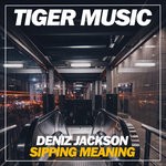 cover: Deniz Jackson - Sipping Meaning (Steve Montana Remix)