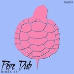 cover: Pepe Dub - Birds EP