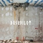 cover: Bushpilot - Already!