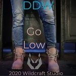 cover: D.d.w. - Go Low