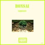 cover: Valerio Bianco - Bonsai