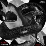 cover: Piter Black - Fear