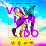 cover: Dj Goozo|Jotadejuan|Massianello|Mateo Ochoa - Volando