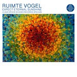 cover: Ruimte Vogel - Expect Eternal Sunshine