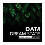 cover: Data - Dream State