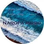 cover: Anthony Spallino|Aurelien Stireg - Nature EP