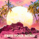 cover: Big Gigantic - Free Your Mind