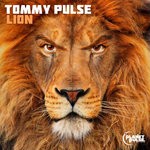 cover: Tommy Pulse - Lion