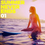 cover: Various - Summer Never Ends 01