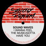 cover: Sound Waves - I Wanna Feel The Music/Gotta Have You