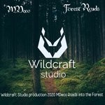 cover: Mdeco - Forest Roads