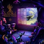 cover: Shamanimal - Special Place