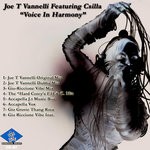 cover: Csilla|Joe T Vannelli - Voice In Harmony