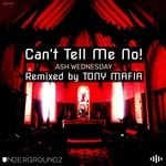 cover: Can't Tell Me No! - Ash Wednesday