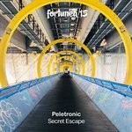 cover: Peletronic - Secret Escape