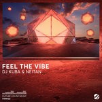 cover: Dj Kuba|Neitan - Feel The Vibe