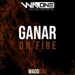 cover: Ryan Ganar - On Fire