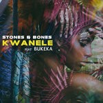 cover: Bukeka|Stones & Bones - Kwanele