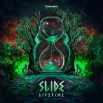 cover: Slide - Lifetime