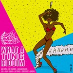 cover: Various - What A Ting Riddim